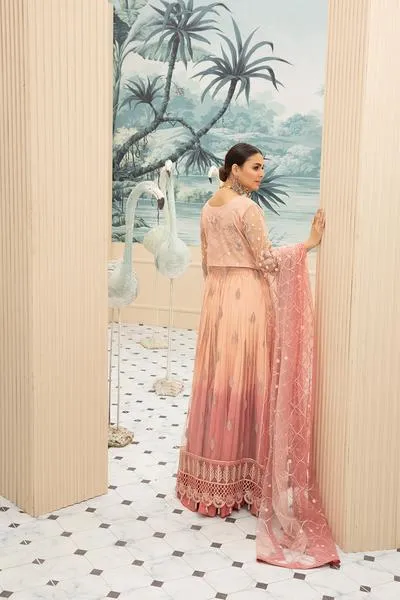 Embroidered Net Eid Dress in Peach Color #N0015