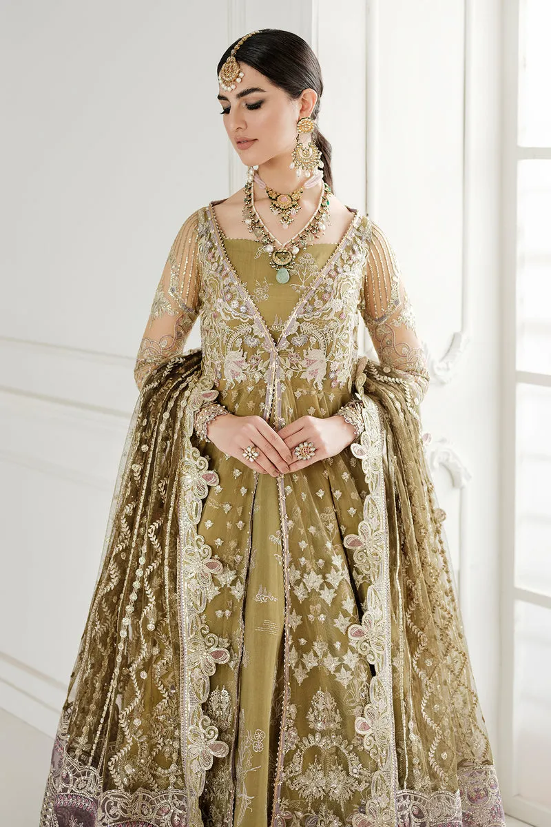 Embroidered Net Pishwas Frock Pakistani Party Dress
