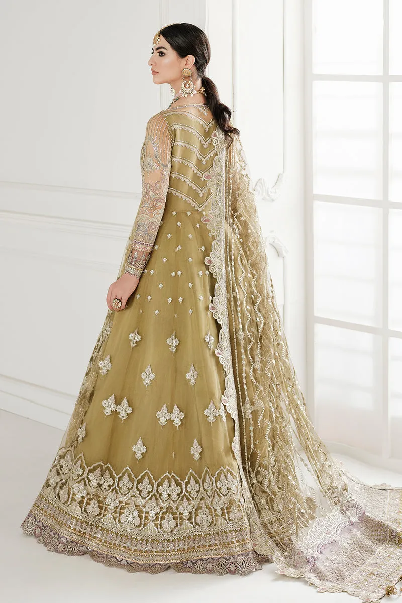 Embroidered Net Pishwas Frock Pakistani Party Dress