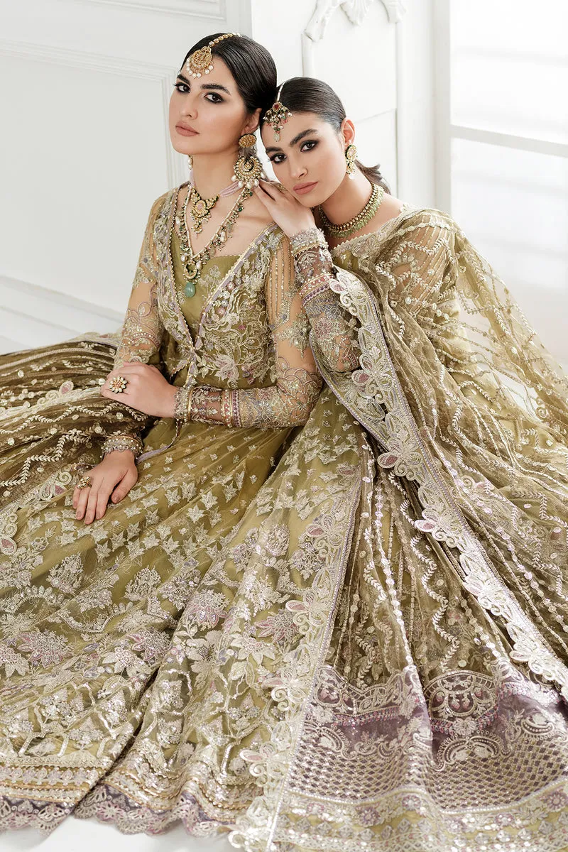 Embroidered Net Pishwas Frock Pakistani Party Dress