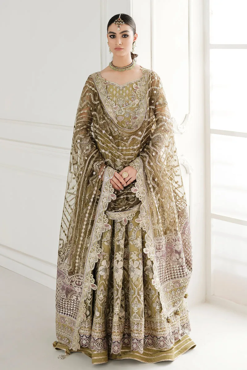 Embroidered Net Pishwas Frock Pakistani Party Dress