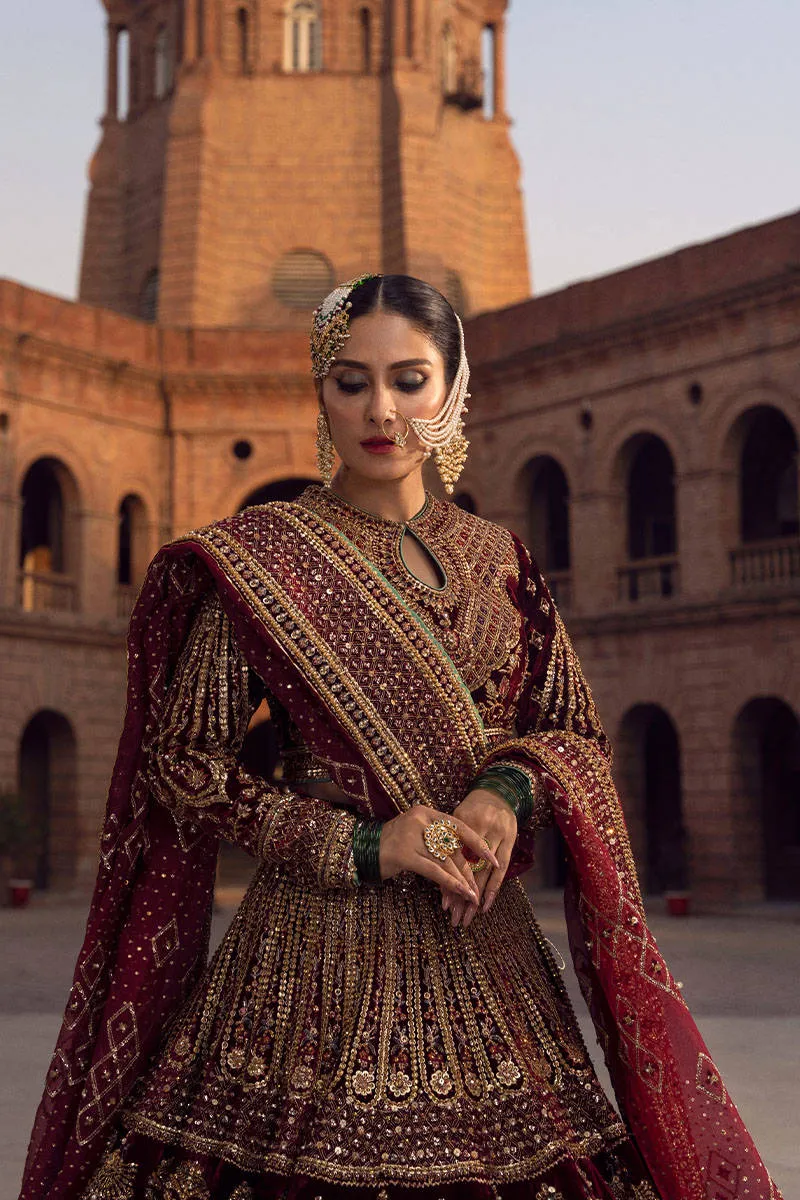 Red Velvet Lehenga Choli Pakistani Wedding Dresses