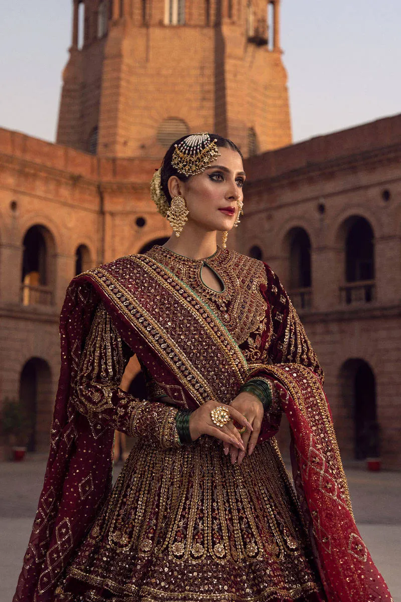 Red Velvet Lehenga Choli Pakistani Wedding Dresses
