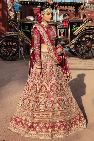 Ruby Red Raw Silk Lehenga Choli Pakistani Bridal Dresses
