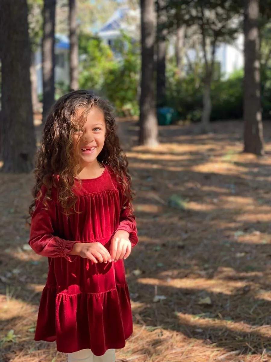 Vignette Bennett Velvet Dress - Burgundy